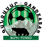 Сюник team logo