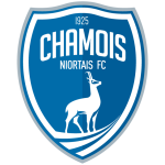 Нуар team logo