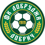 Добруджа 1919 team logo