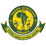 Янг Африкэнс team logo