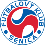 Сеница team logo