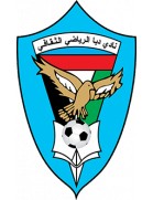 team-logo