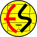 Эскишехирспор team logo