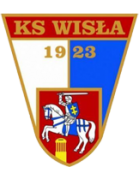 Висла Пулавы team logo