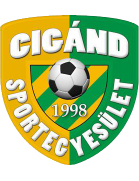 Сиганд СЕ team logo