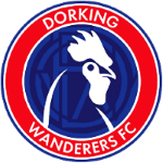 Доркинг Уондерерс team logo