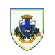 Скандиччи team logo