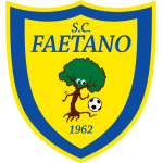 transfer-team-logo