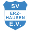 Скала Стрый team logo