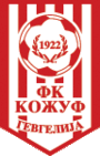 ФК Козув Гевгелия team logo