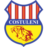 Костулень team logo