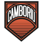 transfer-team-logo