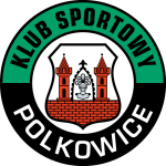 Польковице team logo
