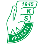 Пеликан Лович team logo