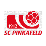 Пинкафельд team logo