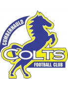 Камбернаулд Колтс team logo