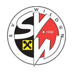 Вильдон team logo