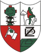 Замудио team logo