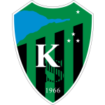 Коджаэлиспор team logo
