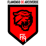 Фламенго Арковерде team logo