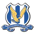 Экклешилл Юнайтед team logo