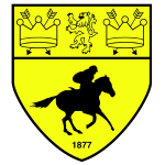 Ньюмаркет Таун team logo