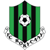 Рокицаны team logo