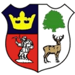 Синдерфорд Таун team logo