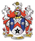 Сталибридж Селтик team logo