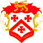 team-logo