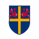 Беллуно team logo