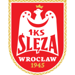 Шленза Вроцлав team logo