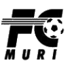 Мури team logo