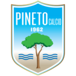 Пинето team logo