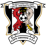 Сефн Друидс team logo