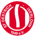 ФК Изерлон team logo