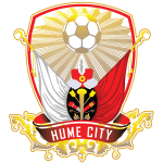 Хьюм Сити team logo