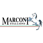 Маркони Сталлионс team logo