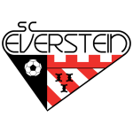 Эверстейн team logo