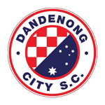 Данденонг Сити team logo