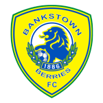 Бэнкстаун Берриз team logo