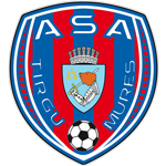 Тыргу-Муреш team logo