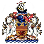 Барри Таун Юнайтед team logo